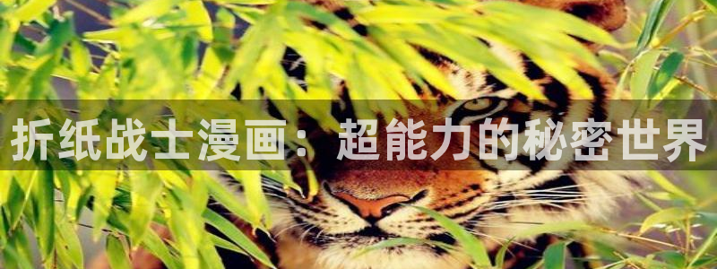 我的萌宝是僚机漫画奇漫屋下拉式