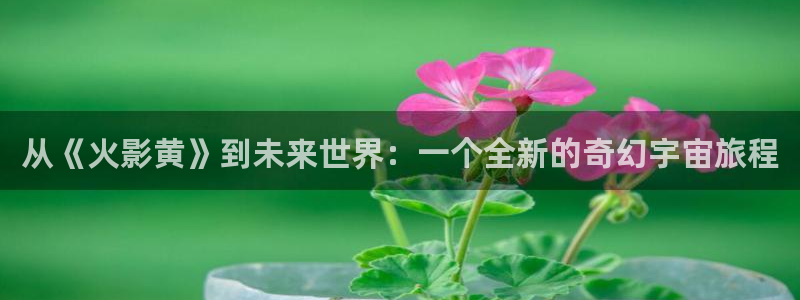 魔女30岁奇漫屋画免费漫画下拉式：从《火影黄》到未来世界：一个全新的奇幻宇宙旅程
