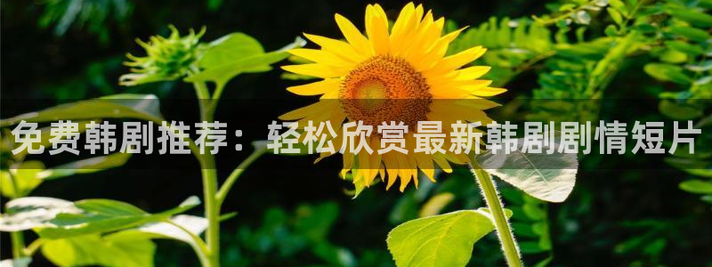 夺母3d漫画免费下拉式漫画奇漫屋：免费韩剧推荐：轻松欣赏最新韩剧剧情短片