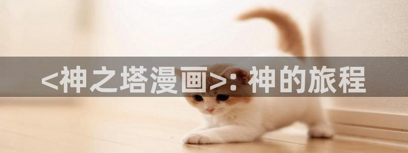 奇漫屋画免费漫画官方入口：<神之塔漫画>: 神的旅程