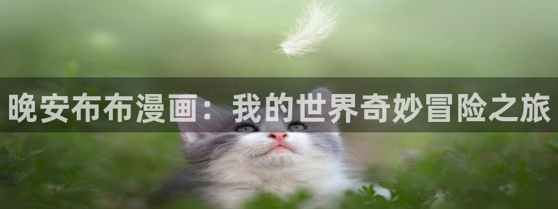 悠哉兽世漫画全集免费阅读下拉式奇漫屋：晚安布布漫画：我的世界奇妙冒险之旅