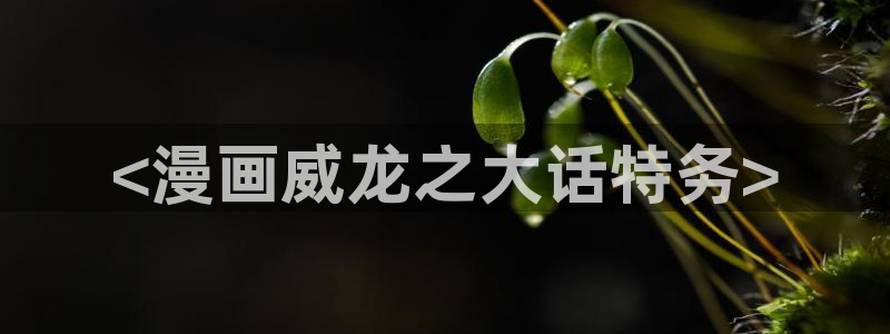 萌师在上奇漫屋：<漫画威龙之大话特务>